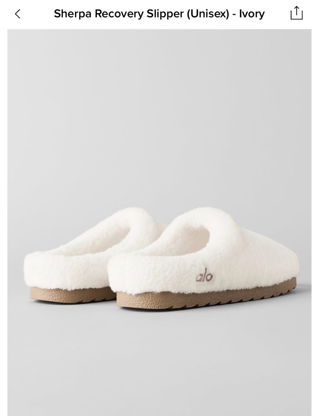 Alo Yoga Sherpa Recovery Slippers
